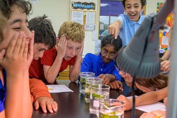 5 AAAA Chemistry Photosynthetic rate Rm30 2023_06_07-9