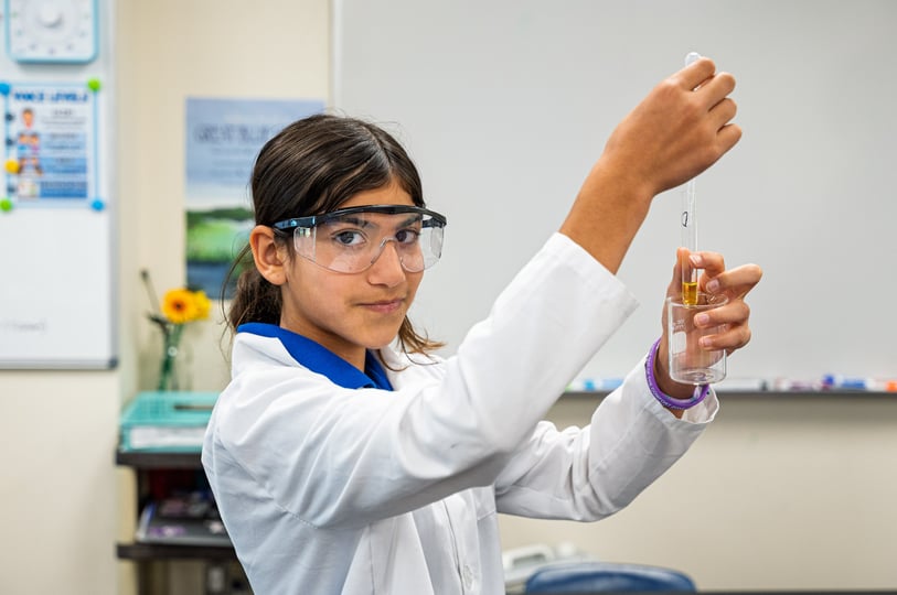 5th Grade Science Kidney Model Lab