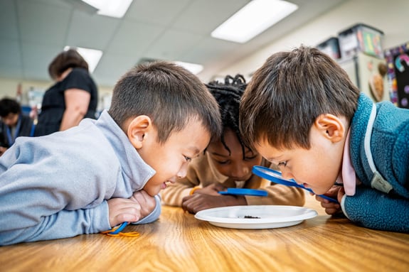 Students collaborate during a hands-on vermiculture science lesson at Nysmith School