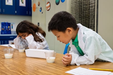 KC AAAA Science Cookie Experiment Rm27 2026_09_16-13